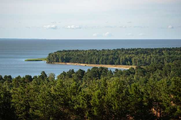 Seroquel eesti