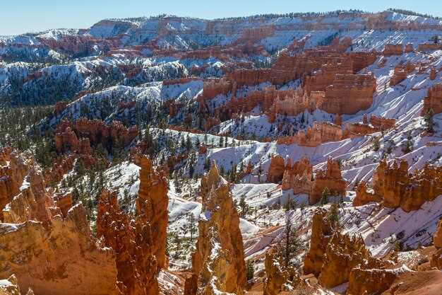 Seroquel stewart colorado