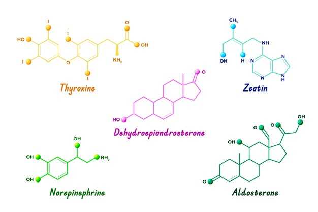 Zyprexa e seroquel